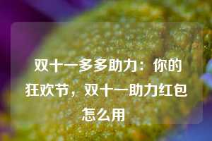  双十一多多助力：你的狂欢节，双十一助力红包怎么用 第1张