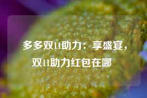  多多双11助力：享盛宴，双11助力红包在哪 第1张