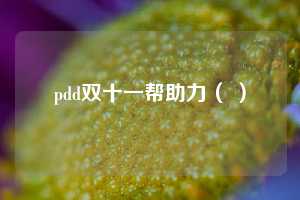 pdd双十一帮助力（ ）  第1张