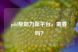 pdd帮助力新平台，需要吗？  pdd帮助力 pdd帮助力平台 pdd刷帮助力平台 pdd帮助力平台在线刷 第1张