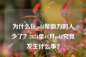 为什么玩pdd帮助力的人少了？2024年11月pdd究竟发生什么事？  pdd帮助力 pdd帮助力平台 pdd刷帮助力平台 pdd帮助力平台在线刷 第1张