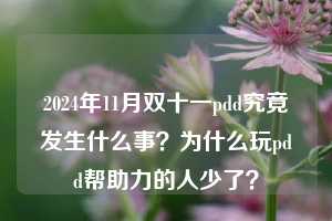 2024年11月双十一pdd究竟发生什么事？为什么玩pdd帮助力的人少了？  pdd帮助力 pdd帮助力平台 pdd刷帮助力平台 pdd帮助力平台在线刷 第1张